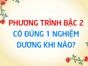 Phương trình bậc 2 có đúng 1 nghiệm dương khi nào? Điều kiện PT bậc 2 có đúng 1 nghiệm dương - Toán lớp 10